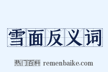 雪面反义词是什么意思的图片